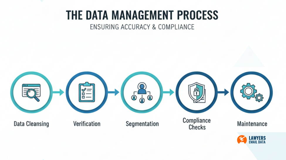 Data Management Process